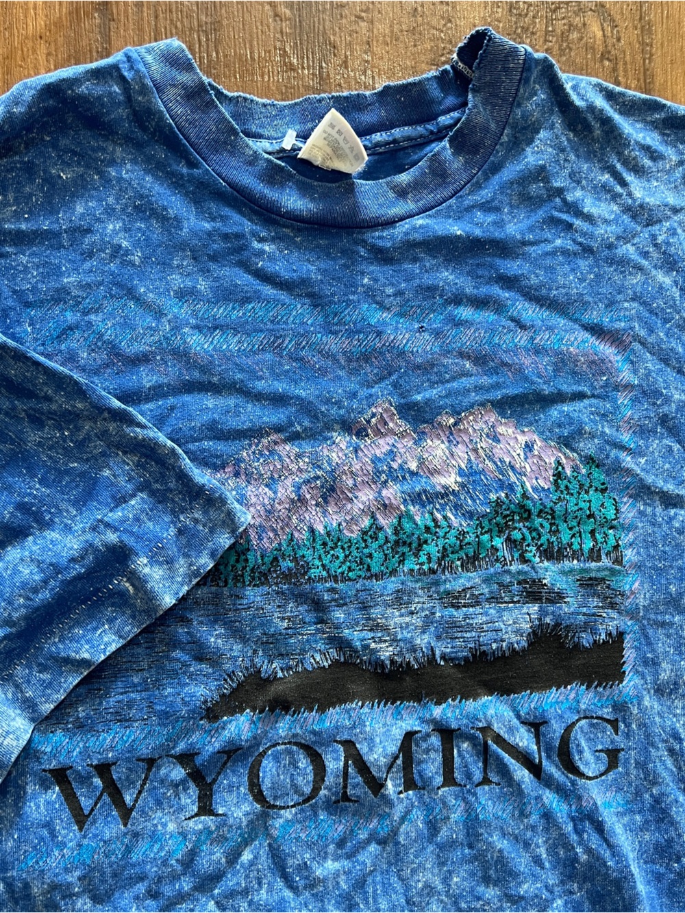 Vintage Wyoming Nature T Shirt Size XL Single Stitch 90s Nature Mountain Tee